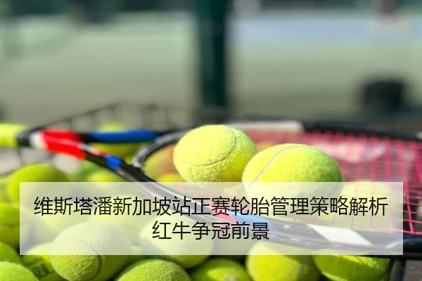 维斯塔潘新加坡站正赛轮胎管理策略解析红牛争冠前景
